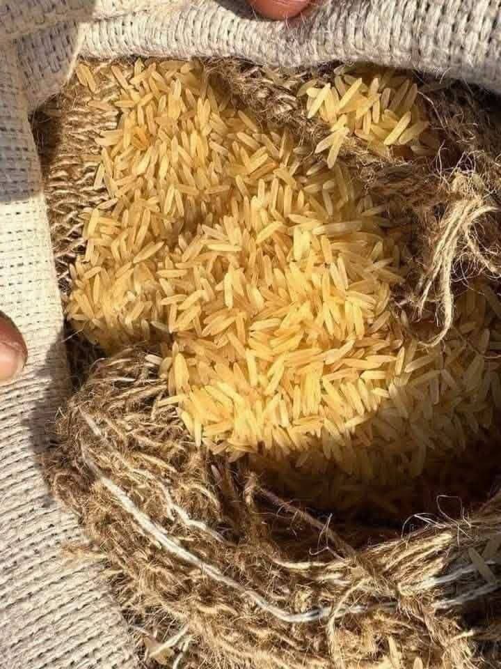 رز بسمتي درجة اولي